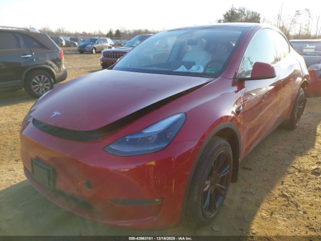 Tesla Model Y Image 7