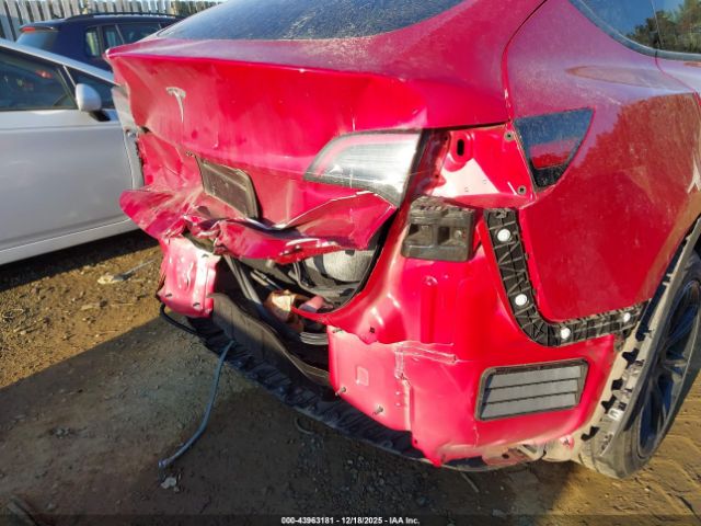 Tesla Model Y Image 10