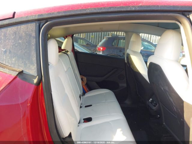 Tesla Model Y Image 13