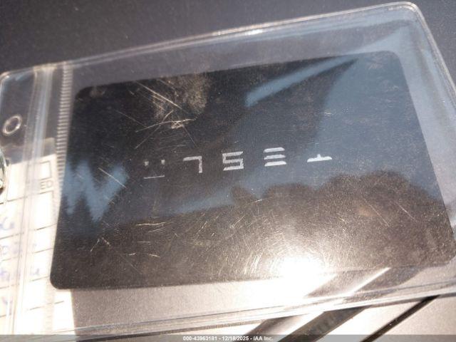 Tesla Model Y Image 3
