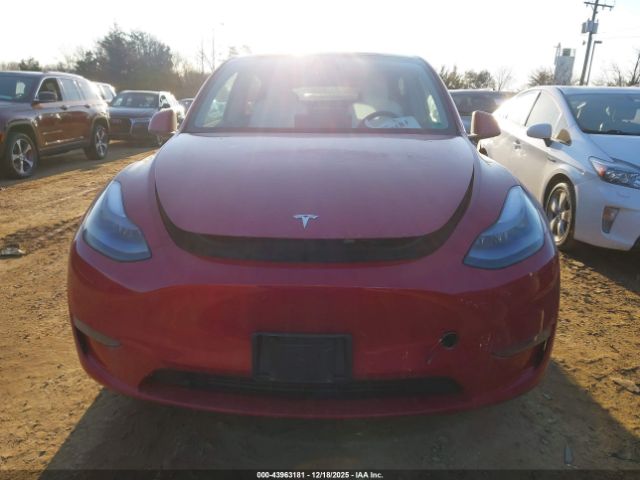 Tesla Model Y Image 16