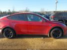 Tesla Model Y Image 17