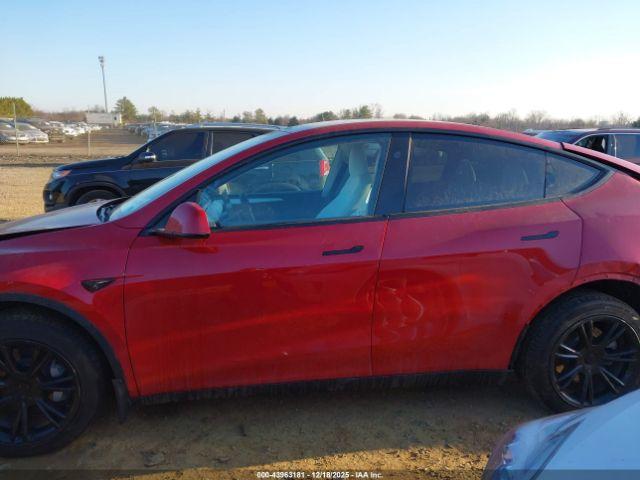 Tesla Model Y Image 4