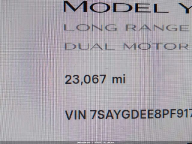 Tesla Model Y Image 5