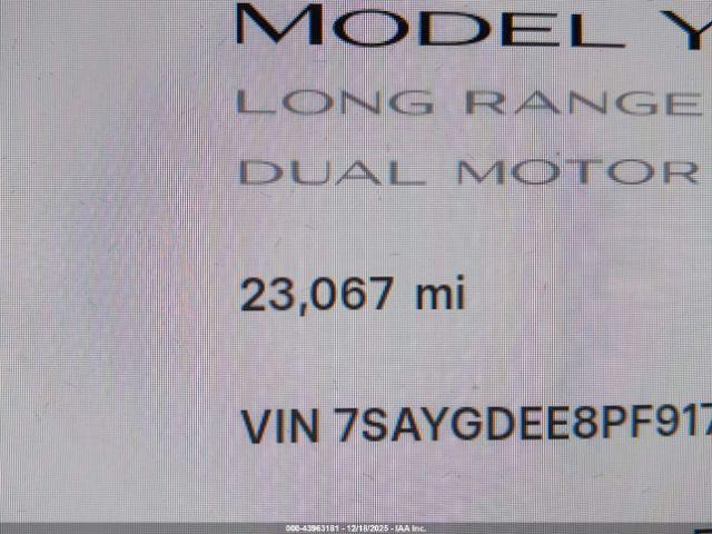 Tesla Model Y Image 5