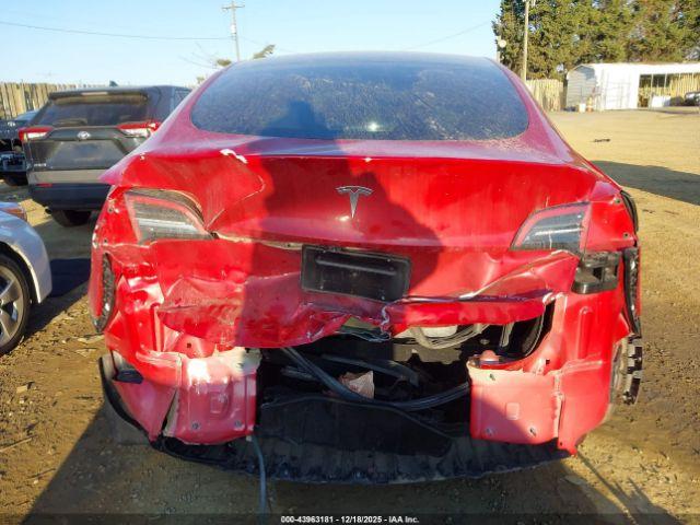 Tesla Model Y Image 6