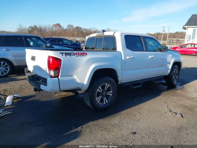Toyota Tacoma Trd Sport Image 3