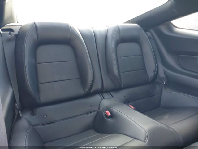 Ford Mustang Ecoboost Image 13