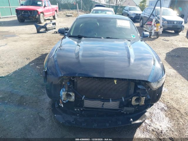 Ford Mustang Ecoboost Image 15