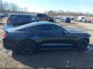 Ford Mustang Ecoboost Image 16