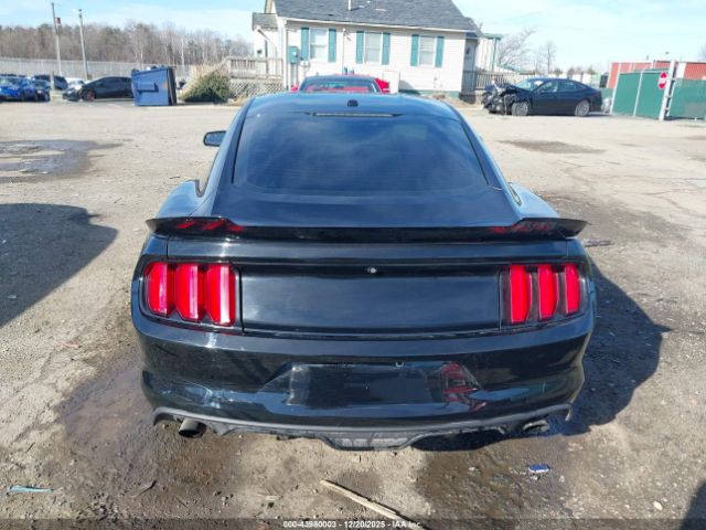 Ford Mustang Ecoboost Image 12