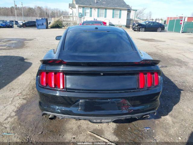 Ford Mustang Ecoboost Image 12