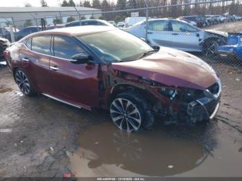  Salvage Nissan Maxima