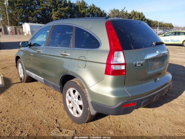 Honda CR-V Ex-l Image 8