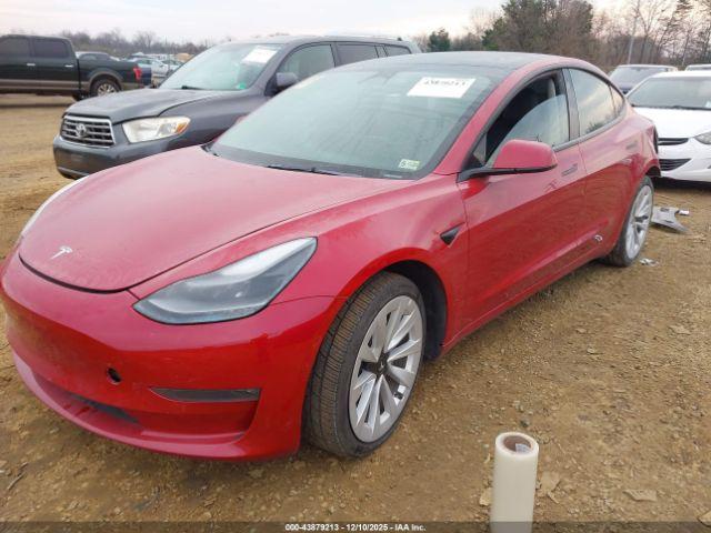 Tesla Model 3 Long Range Dual Motor All-wheel Drive Image 7