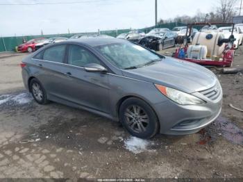  Salvage Hyundai SONATA
