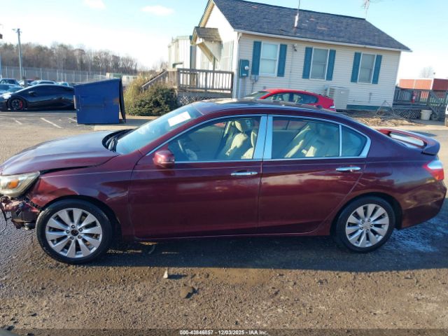 Honda Accord Ex-l Image 11