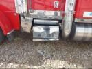 Peterbilt 389 Image 7