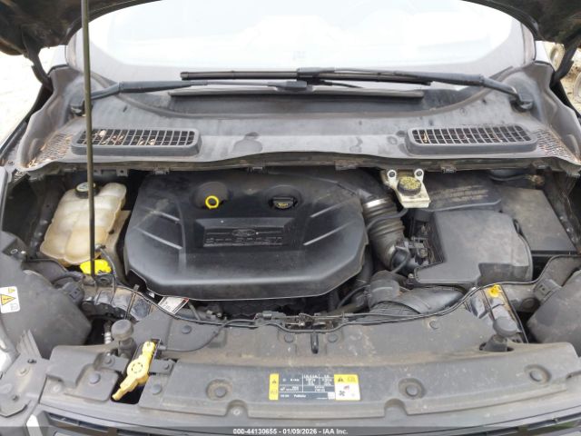 Ford Escape Titanium Image 2